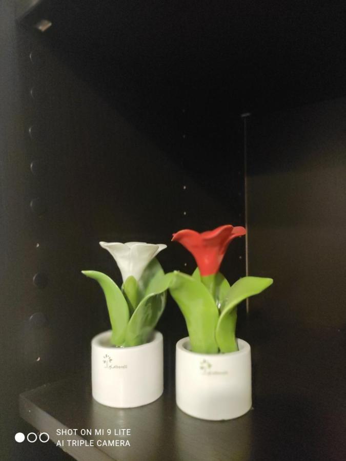 Casa Vacanze Zia Rose 나폴리 외부 사진