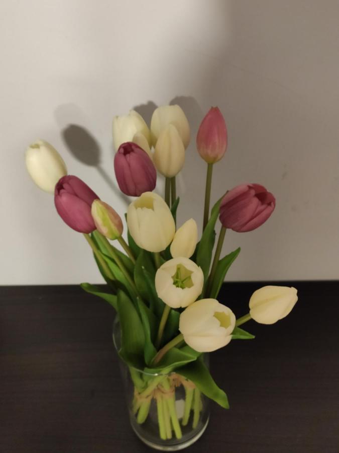 Casa Vacanze Zia Rose 나폴리 외부 사진